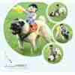 Funny Halloween Dog Costumes