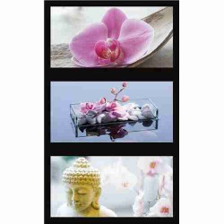 RAVENSBURGER ZEN VE ORKİDE - 3X500 Parçalı 