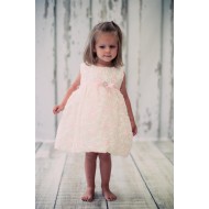 Kids D Baby Satin Floral Embroidered Dress