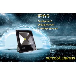 20w Spot led Lamba