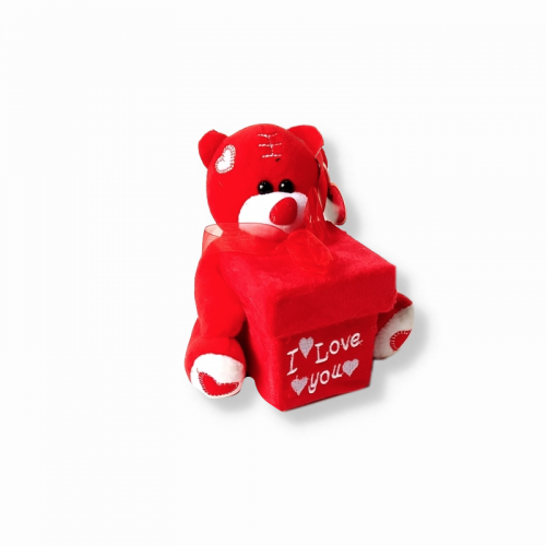 Peluş Kutulu Oyuncak Ayı Kırmızı Peluş Kutulu Oyuncak Ayı Kırmızı