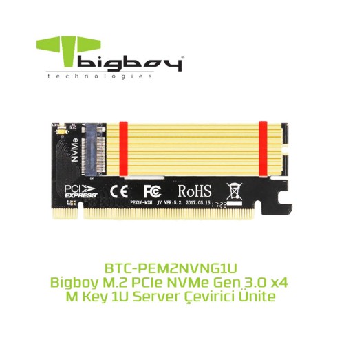Bigboy PCIe 3.0 x4 PCI M.2 x4 -M Key 1U Server Çevirici Ünite