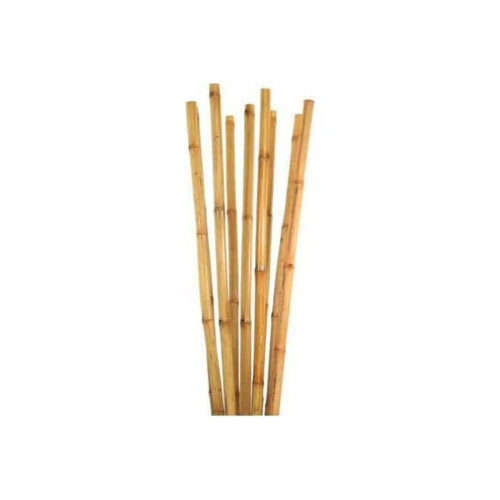 Bambu Bitki Destek Çubuğu 150 Cm 10 Adet Bambu Bitki Destek Çubuğu 150 Cm 10 Adet