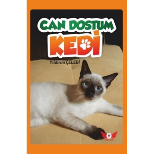 Can Dostum Kedi Can Dostum Kedi