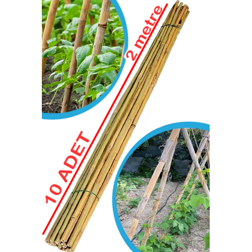 Doğal Kargı Bambu Bitki Destek Çubuğu Fidan Salatalık Sarmaşık Çiçek Destek Çubuğu 10 Adet 200 cm Doğal Kargı Bambu Bitki Destek Çubuğu Fidan Salatalık Sarmaşık Çiçek Destek Çubuğu 10 Adet 200 cm