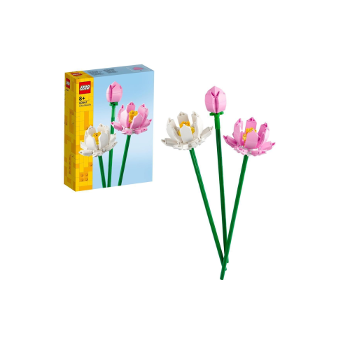 Lotus Çiçekleri 40647 Lotus Çiçekleri 40647