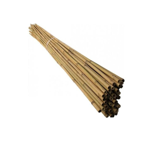 Bambu Bitki Destek Çubuğu 100cm (10 Âdet) Bambu Bitki Destek Çubuğu 100cm (10 Âdet)