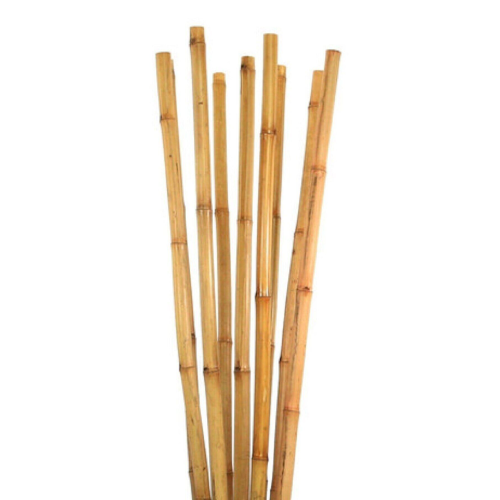 Bambu Bitki Destek Çubuğu 200 Cm 6'lı Bambu Bitki Destek Çubuğu 200 Cm 6'lı