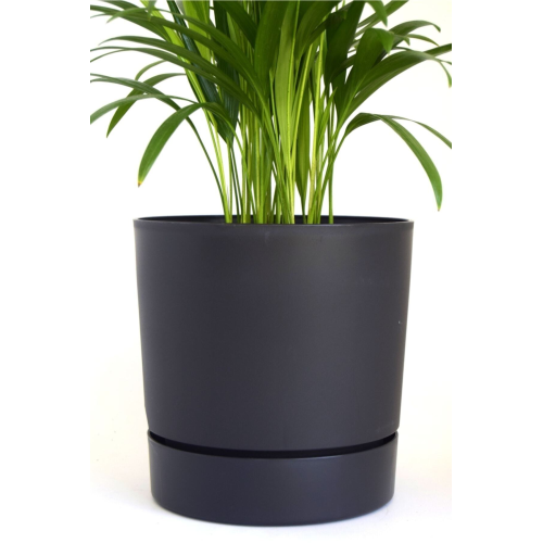 Begonya 9 Lt Antrasit Saksı (LEOFLOWERS ÜRÜNÜ) Begonya 9 Lt Antrasit Saksı (LEOFLOWERS ÜRÜNÜ)