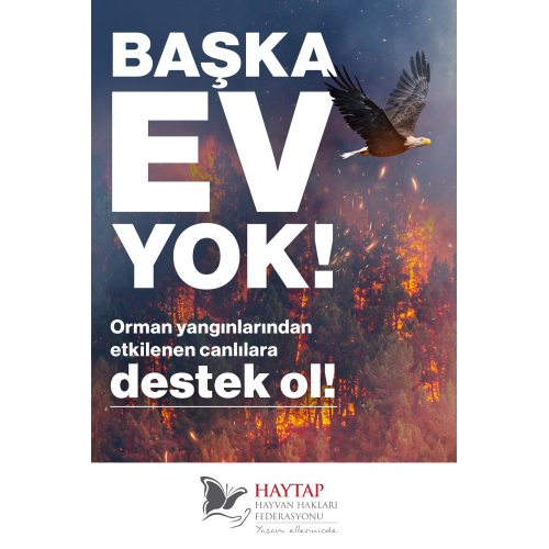 Başka Ev Yok Destek Kartı Başka Ev Yok Destek Kartı