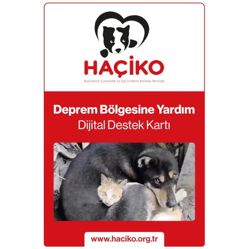 Deprem Destek Kartı Deprem Destek Kartı