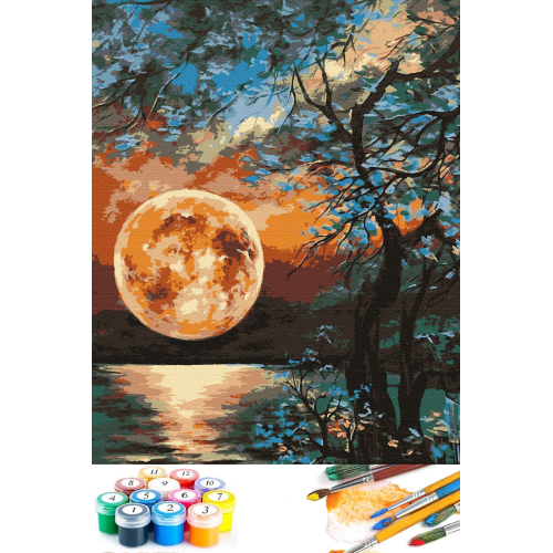 Sayılarla Boyama Hobi Seti Çerçeveli Numaralı Tuval Fırça Boya Dahil Kasnaklı 40x50 Cm Sayılarla Boyama Hobi Seti Çerçeveli Numaralı Tuval Fırça Boya Dahil Kasnaklı 40x50 Cm