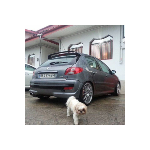 Peugeot 206 Spoiler Boyasız Spoyler Peugeot 206 Spoiler Boyasız Spoyler