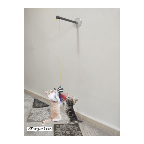 Vantuzlu Kedi Oltası Kedi Oyuncağı Vantuzlu Kedi Oltası Kedi Oyuncağı