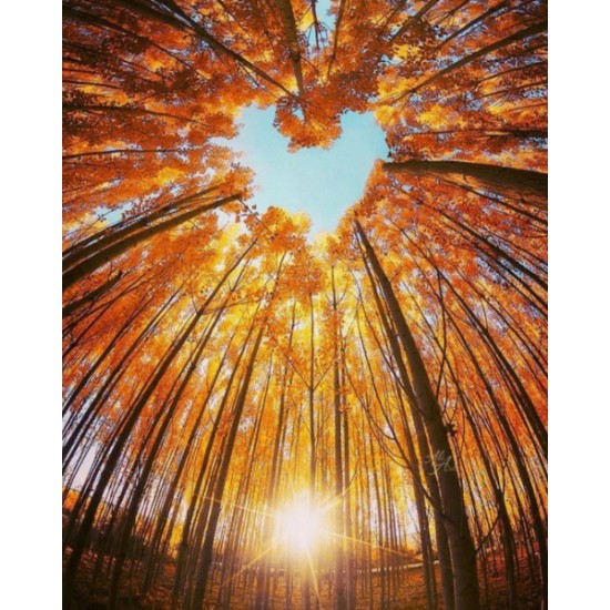 Autumn Love Poster 70x100cm